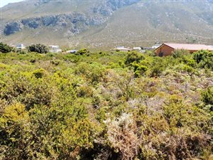 880 m² Land available in Bettys Bay