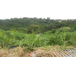 10 ha Land available in Malvern
