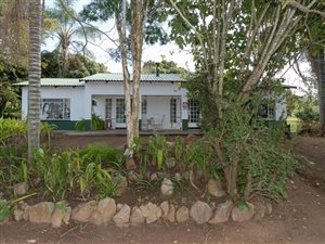 2.1 ha Land available in White River