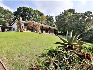 4 Bed House in Kloof