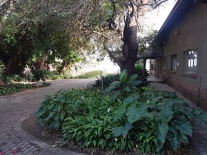 29 m² Farm in Tzaneen