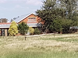 4.2 ha Smallholding in Bainsvlei