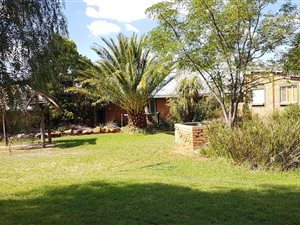 4.2 ha Smallholding in Bainsvlei