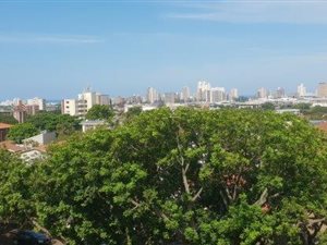 2 Bed Apartment in Morningside