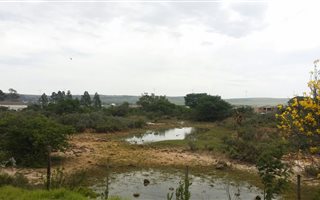 1.2 ha Land available in Grahamstown