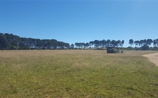 3.9 ha Land available in De Deur
