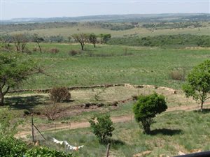 52 ha Farm in Rayton