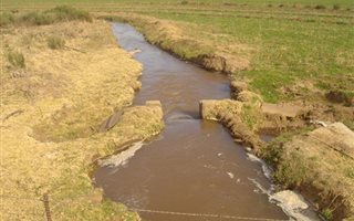 1586 ha Farm in Aliwal North