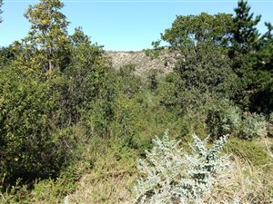630 m² Land available in Groenvallei