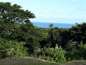 3847 m² Land available in Umtentweni