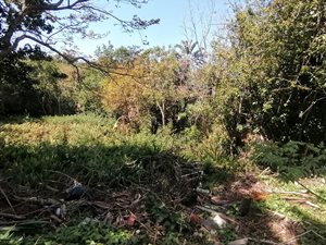 1370 m² Land available in Uvongo