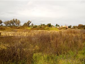 1.3 ha Land available in Denneoord