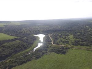 604 ha Farm in Alexandria