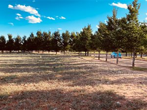 1111 m² Land available in Kimberley