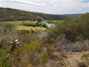 23 ha Farm in Stilbaai