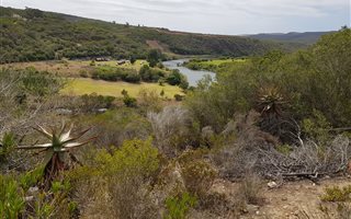 23 ha Farm in Stilbaai