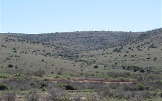 2763 ha Farm in Alicedale