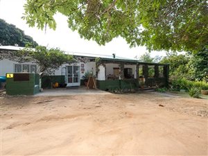 1.8 ha Farm in White River
