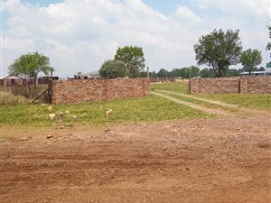 2142 ha Farm in Buyscelia