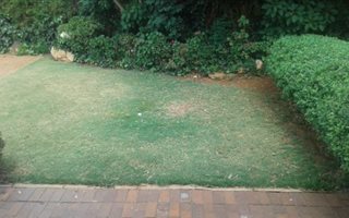 1 Bedroom Garden Cottage in Parkview