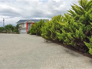 45 ha Farm in George Central