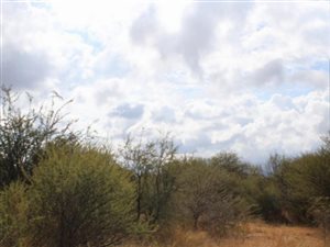 6.6 ha Land available in Thabazimbi