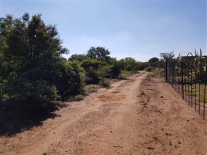 1.5 ha Land available in Kameeldrift East