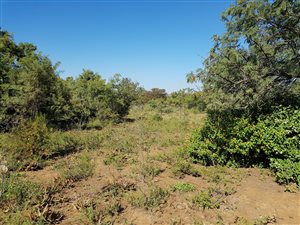 1.5 ha Land available in Kameeldrift East