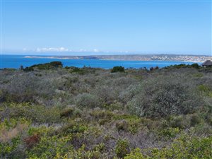 2475 m² Land available in Springerbaai Eco Estate