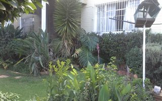 3 Bedroom House in Kensington