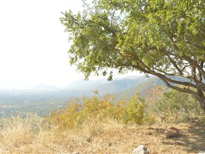 1 ha Land available in Barberton