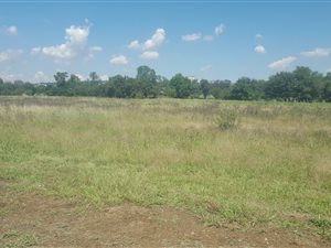998 m² Land available in Waterlake Farm