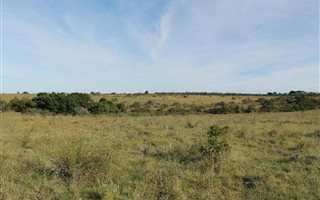 148 ha Smallholding in Bathurst and Surrounds