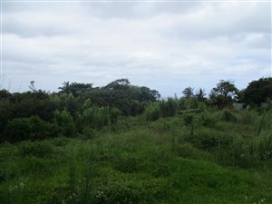 2023 m² Land available in Port Edward