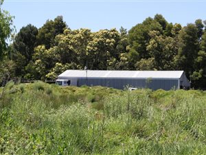 6.5 ha Farm in Grabouw