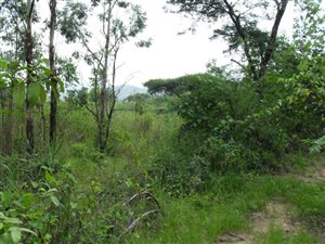 2 ha Land available in Nelspruit Central