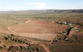 937 ha Farm in Jansenville
