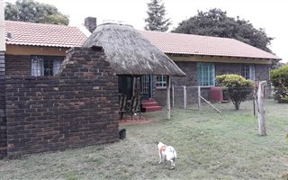 8710 m² Farm in Randfontein