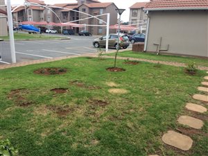 1 Bed Flat in Kleinfontein