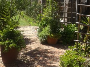 3 Bed House in Blanco