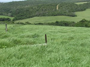 26 ha Farm in Beacon Bay