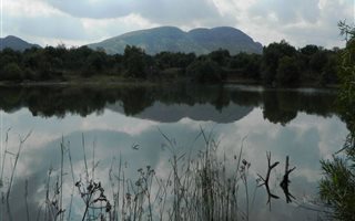 1080 m² Land available in Leloko