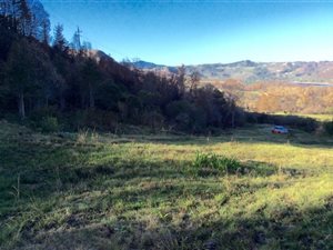 4042 m² Land available in Westford Bridge
