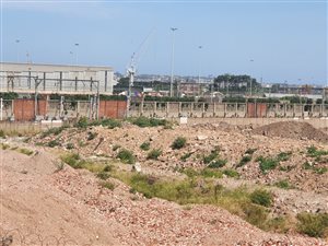 4.5 ha Land available in Congella