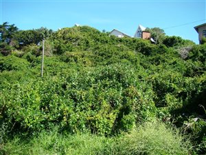 607 m² Land available in Wilderness