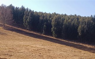 19 ha Land available in Lidgetton