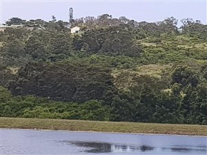 13 ha Farm in Sunrise on Sea