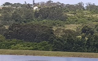 13 ha Farm in Sunrise on Sea