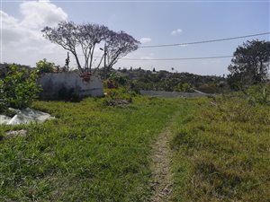 1230 m² Land available in Hillary
