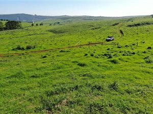 5.3 ha Farm in Hilton